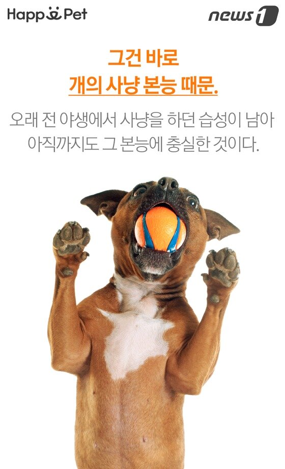 본문 이미지 -  