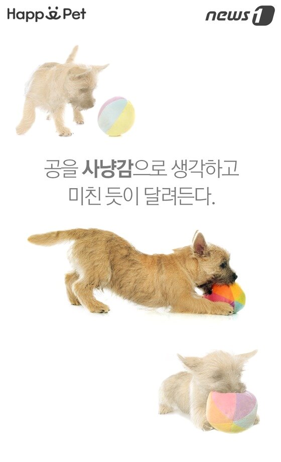 본문 이미지 -  