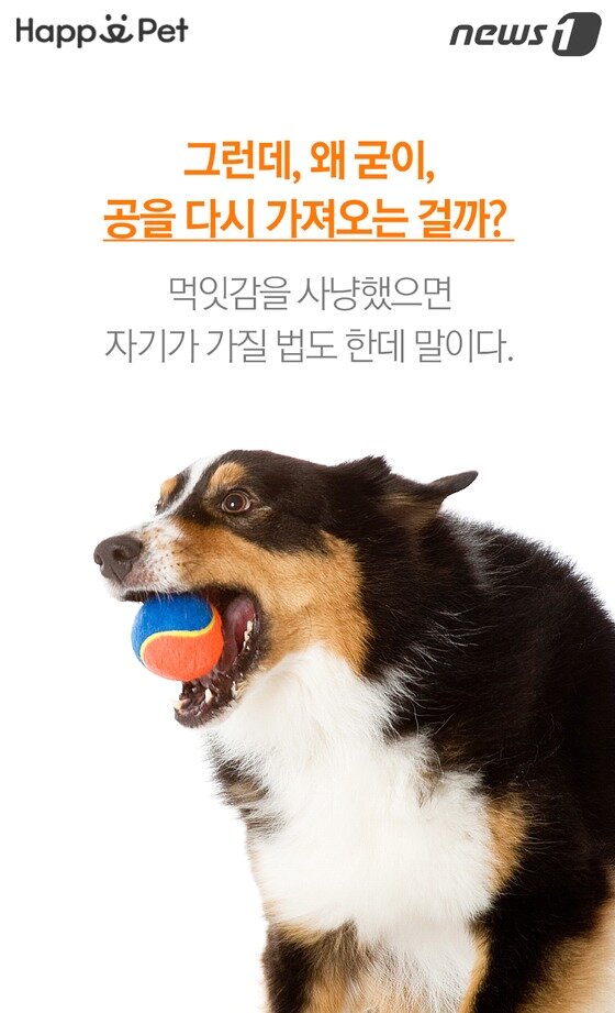 본문 이미지 -  