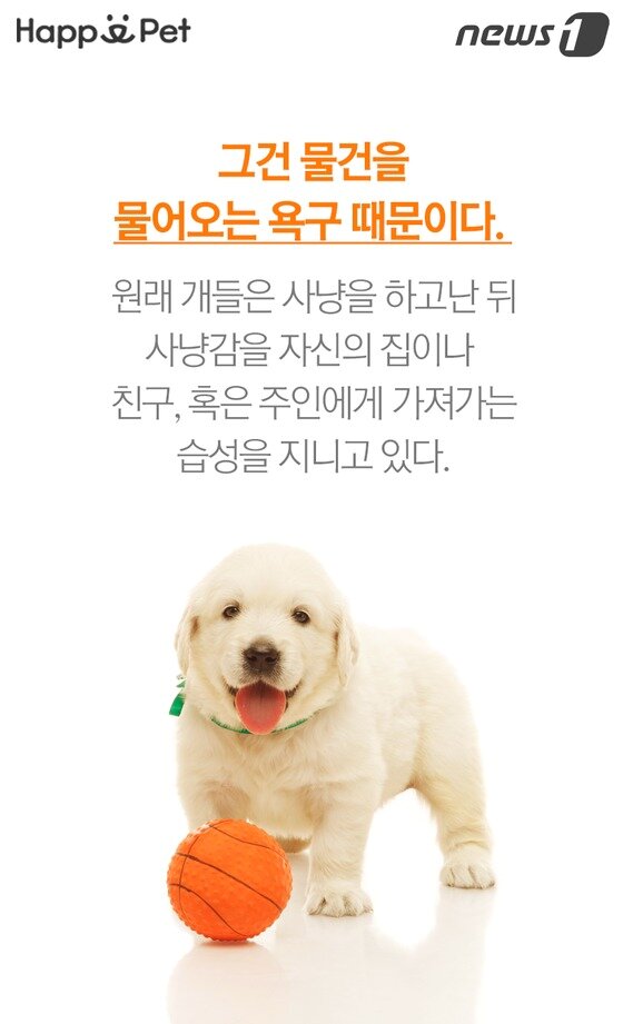 본문 이미지 -  