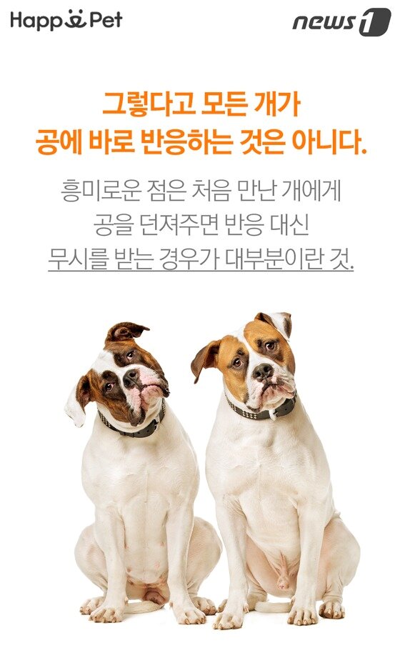 본문 이미지 -  