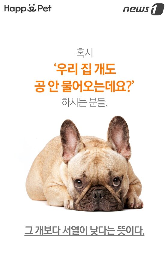 본문 이미지 -  