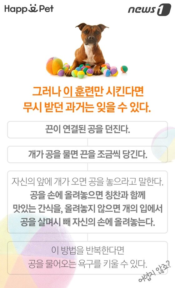 본문 이미지 -  