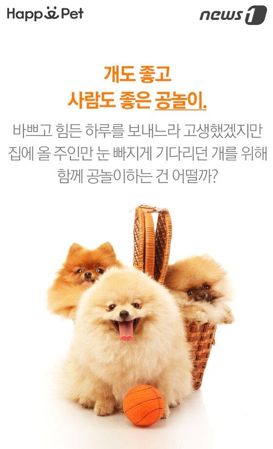 본문 이미지 -  