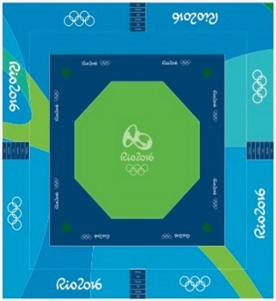 본문 이미지 - 리우 올림픽 태권도 경기장의 모형. 기존 정사각형에서 팔각형으로 달라졌다. (세계태권도연맹 제공) ⓒ News1