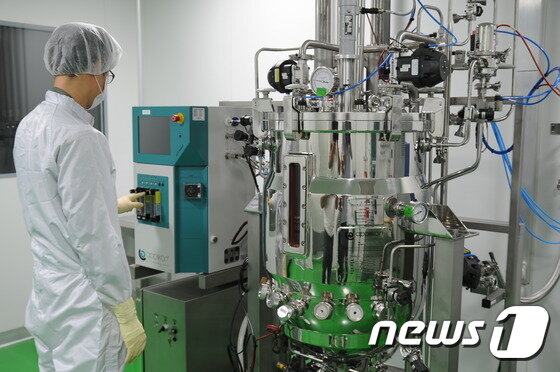 본문 이미지 - 한국코러스(주)   춘천 공장 내 무균실에서 배양균을 연구하고 있다. 2016.8.2/뉴스1ⓒ News1 신효재 기자