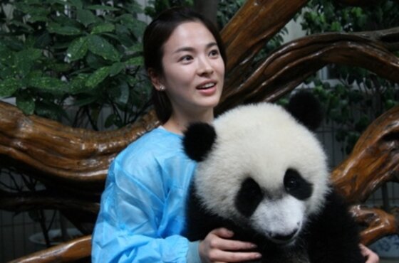 본문 이미지 - 판다와 포즈를 취한 배우 송혜교 (홈페이지) ⓒ News1