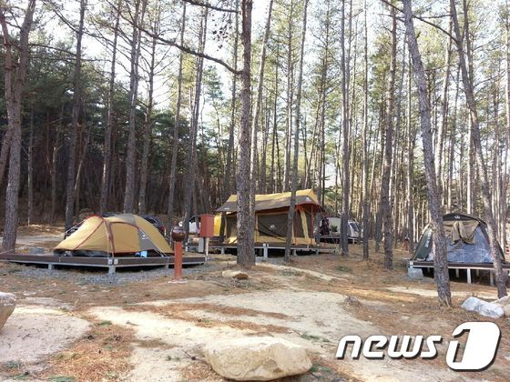 본문 이미지 - 별빛 야영장. ⓒ News1