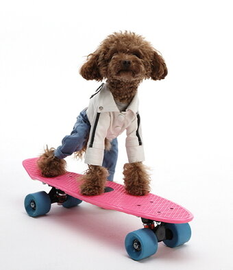 본문 이미지 - ⓒ News1