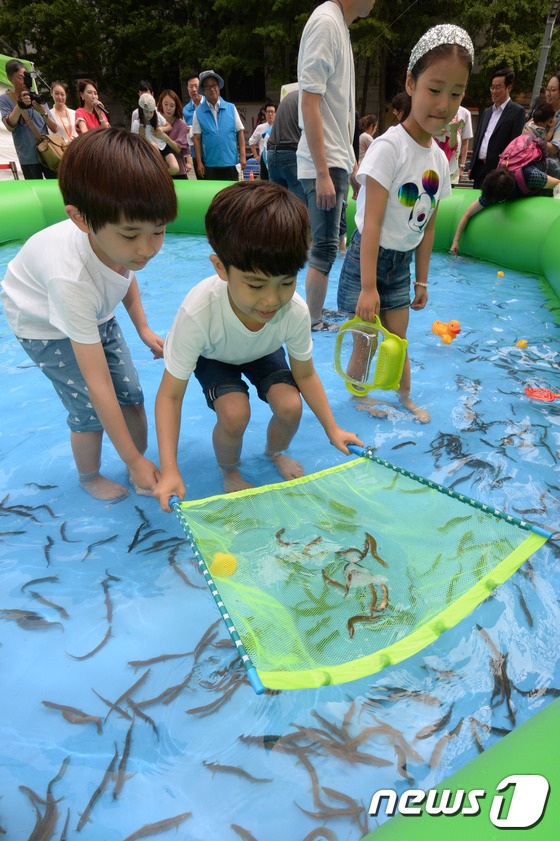 (서울=뉴스1) 이광호 기자 = 7일 오후 서울 청계광장에서 열린 '2016 도농교류의 날 및 농촌여름휴가 캠페인'에 참가한 어린이들이 미꾸라지 잡기 체험을 하고 있다.2016.7 …