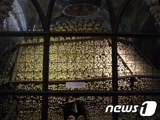 본문 이미지 - (사진제공=flickr/Henry Burrows)ⓒ News1