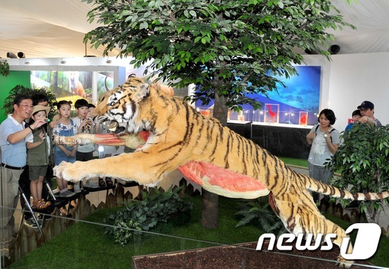 (서울=뉴스1) 추연화 기자 = 8일 부산 해운대구 벡스코 야외주차장 특별전시관에서 개막한 국내 최대 척추동물 전시회 '판타스틱 애니멀-신비한 동물 속 여행'을 찾은 관람객이 만주 …