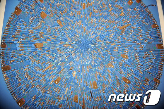 본문 이미지 - 연목구어 시리즈. 치어들이 모이면 굉장한 에너지와 힘을 발휘한다. ⓒ News1 홍성우 기자