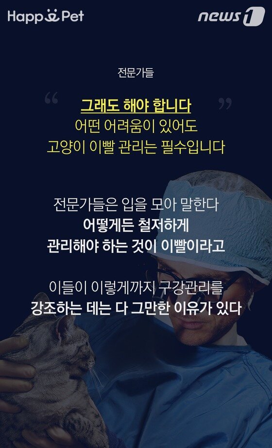 본문 이미지 -  