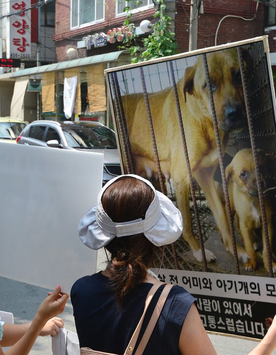 본문 이미지 - 동물복지단체  회원들이 개고기 식용종식과 각 지자체에 동물보호과를 신설할 것을 촉구하는 침묵시위를 벌이고 있다. (자료사진)2016.8.16/뉴스1 ⓒ News1 구윤성 기자