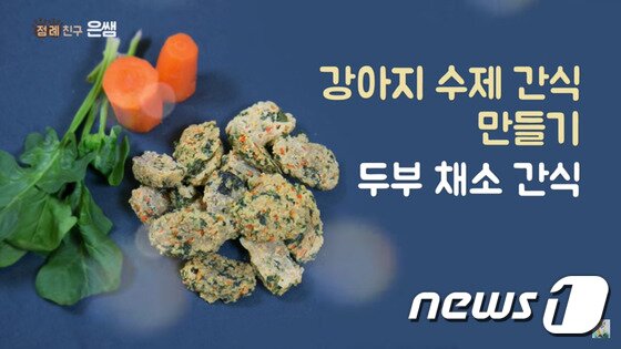 본문 이미지 - 사진 은쌤의 강아지 수제간식 만들기 영상 캡처.(hows tv 제공)ⓒ News1