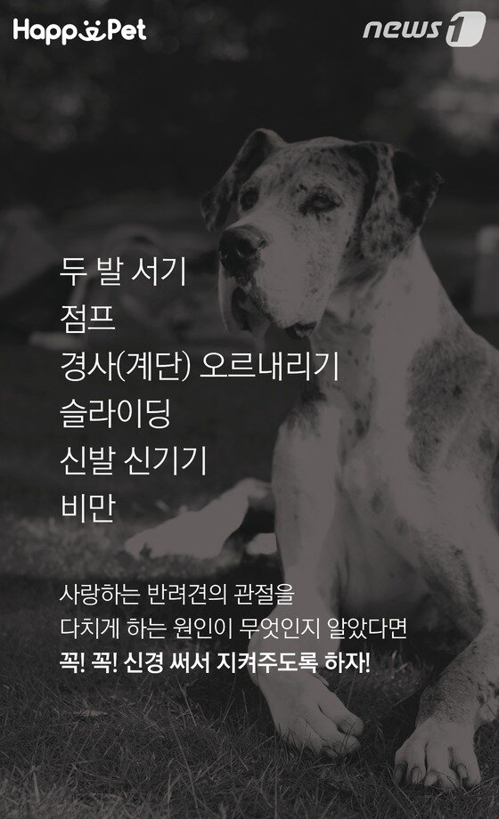 본문 이미지 -  