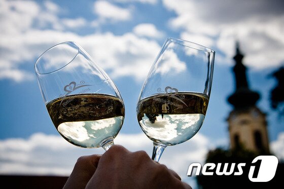 본문 이미지 - 헝가리 와인과 더불어 전 세계 지역의 와인들을 한 번에 즐길 수 있는 부다페스트 와인페스티벌(사진제공=filckr/Krisztina Vlesk&oacute;)ⓒ News1