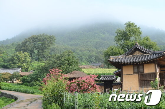 본문 이미지 - 고성 송지호둘레길(한국관광공사 제공) ⓒ News1
