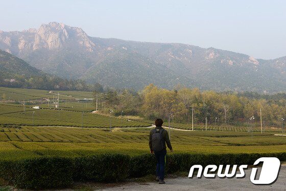 본문 이미지 - 정약용의남도유배길(한국관광공사 제공) ⓒ News1