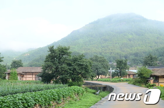 본문 이미지 - 송지호 둘레길 모습