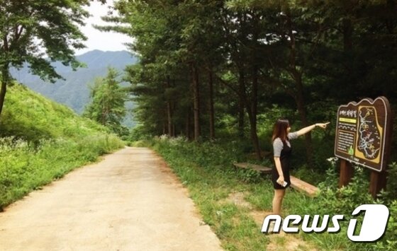 본문 이미지 - 황금구만냥길 ⓒ News1