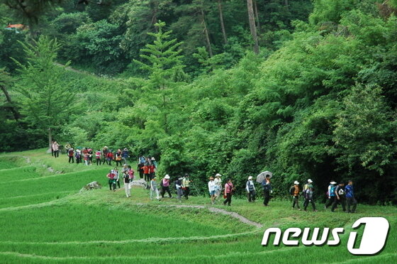 본문 이미지 - 신사임당길(한국관광공사 제공) ⓒ News1