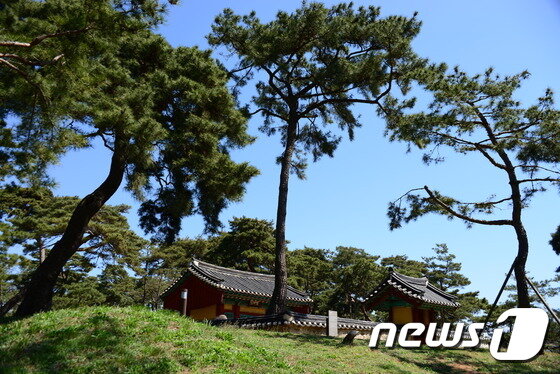 본문 이미지 - 고마나루 명승길