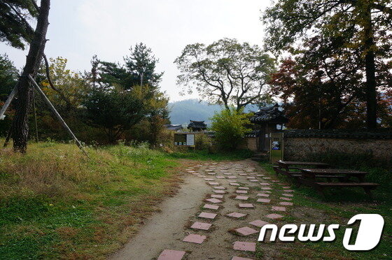 본문 이미지 - 솔숲갈래길 ⓒ News1