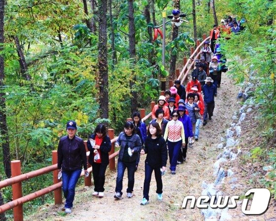 본문 이미지 - 외씨버선길. 사진-영양군청 ⓒ News1