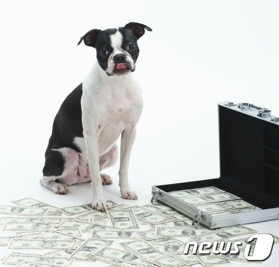 본문 이미지 - (사진 이미지투데이) ⓒ News1