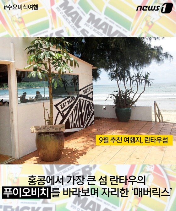 본문 이미지 - ⓒ News1