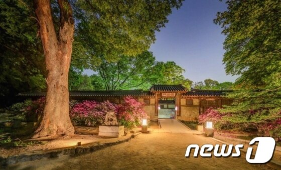 본문 이미지 - 장락문 야경ⓒ News1