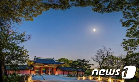 본문 이미지 - 진선문 야경 ⓒ News1