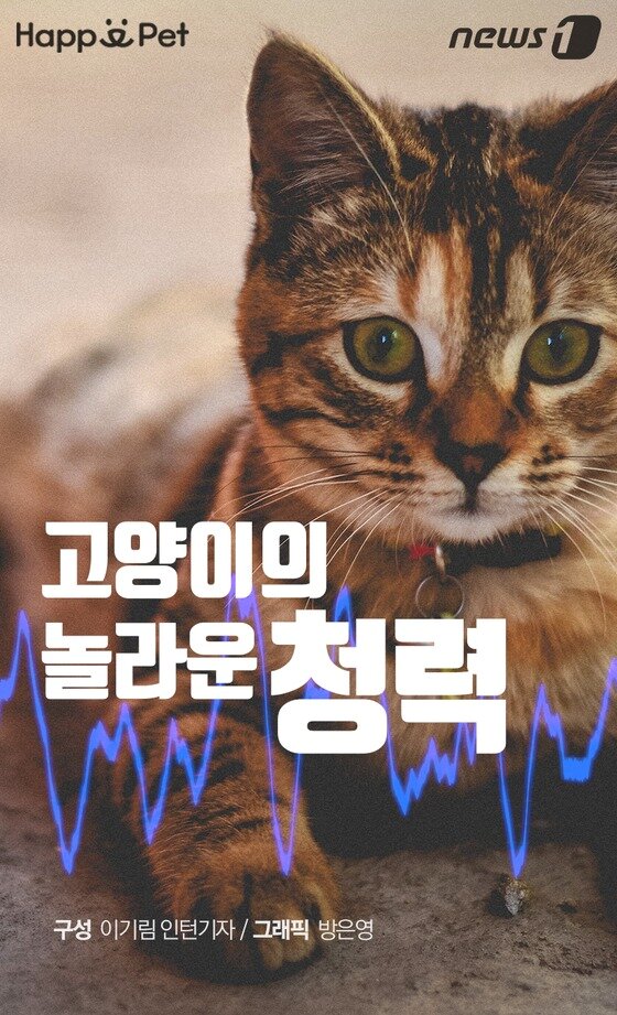 본문 이미지 -  