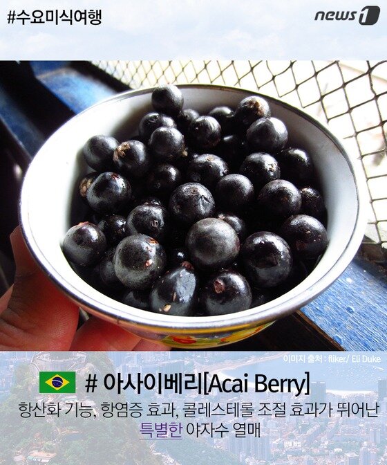 본문 이미지 - ⓒ News1