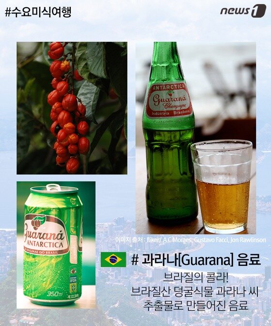 본문 이미지 - ⓒ News1