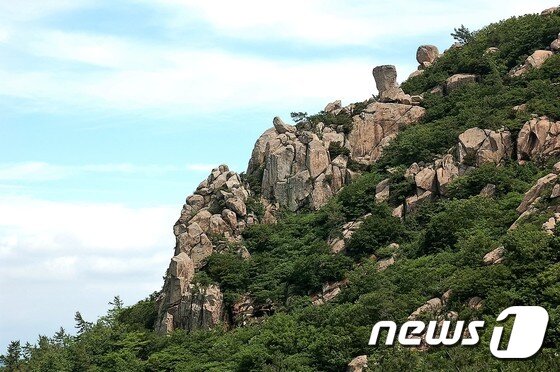 본문 이미지 - 전남 고흥군 마복산의 기암절경.(고흥군 제공) /뉴스1DB