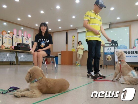 본문 이미지 - '의자 앉기 게임' 연습 중인 토벤이(왼쪽)와 로빈.ⓒ News1