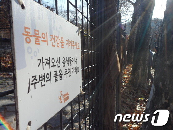 본문 이미지 - 관람객의 관람예절을 당부하는 안내판은 쉽게 무시된다. (사진 최혁준) ⓒ News1