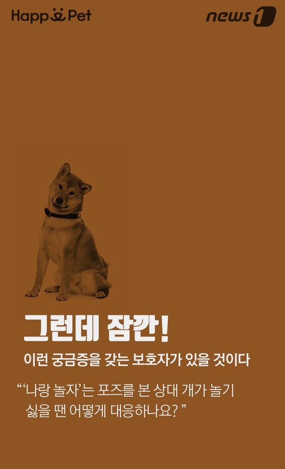 본문 이미지 -  