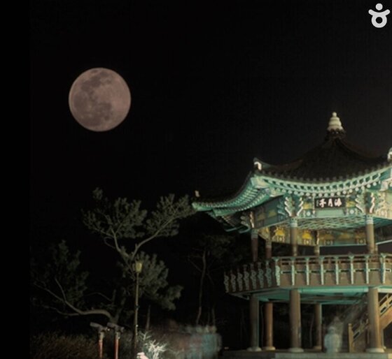 본문 이미지 - 부산 해운대 달맞이길의 모습. 이하 사진 관광공사 제공 ⓒ News1