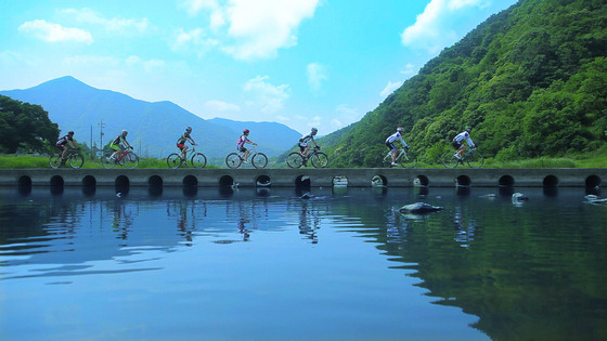 "거기가 어딘데요?"…가면 갈수록 돈 돌려주는 '봄 여행지'