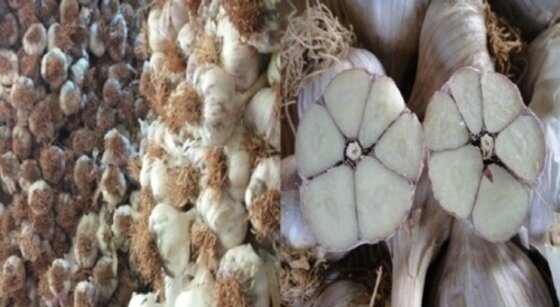 본문 이미지 - ⓒ News1