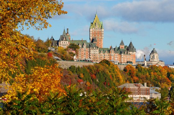 가을 단풍과 사랑에 빠지다, 캐나다 메이플로드 - 뉴스1