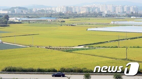 본문 이미지 - (사진은 기사 내용과 무관함) ⓒ 뉴스1 장수영 기자