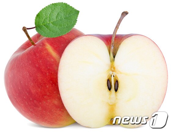 본문 이미지 - ⓒ News1