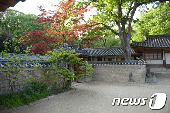 본문 이미지 - 도심고궁나들길. 이하 관광공사 제공 ⓒ News1
