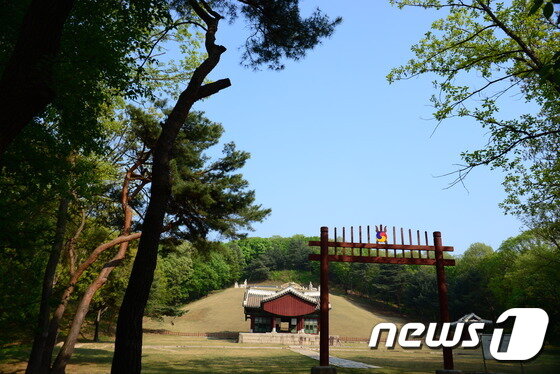 본문 이미지 - 서오릉나들길 중 홍릉. ⓒ News1