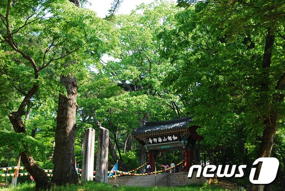 본문 이미지 - 가야산소리길 해인사 ⓒ News1
